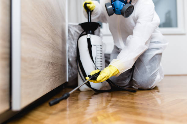 Best Best Pest Control Companies  in Spring Valley, MN