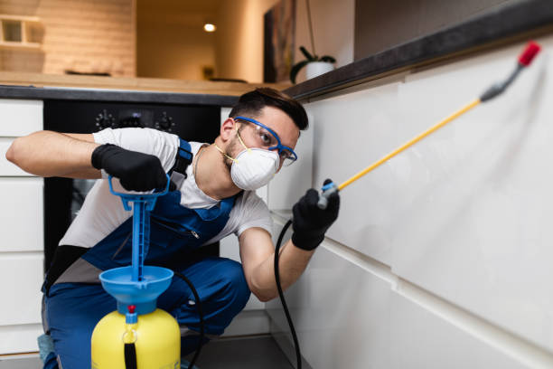 Best Cockroach Control Services  in Spring Valley, MN