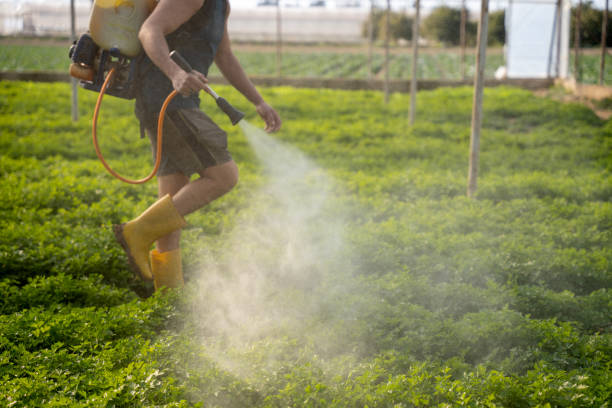 Pest Control Cost in Spring Valley, MN
