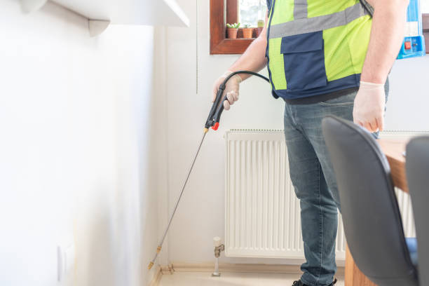 Best Rat Extermination Near Me  in Spring Valley, MN