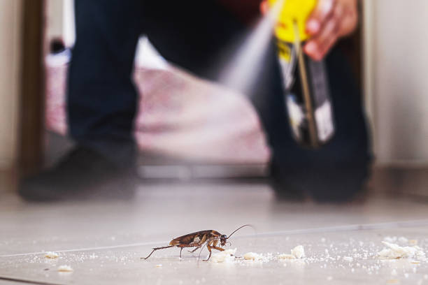 Best Wildlife Control Services  in Spring Valley, MN