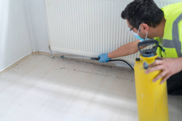 Best Pest Inspection Near Me  in Spring Valley, MN